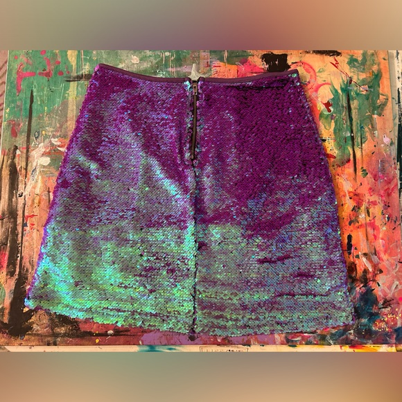 Wild Fable - Iridescent Sequined Skirt - Size XS - Picture 4 of 10